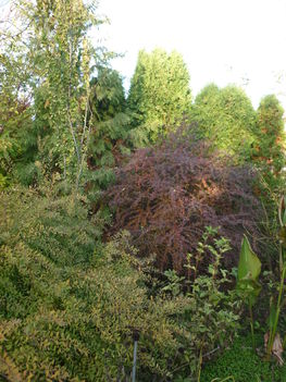 P1110647