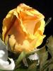 www.tvn.hu_7805b6592f8f36c0df304f740eff5ea9_k