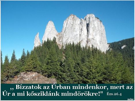 Áldott,szép napot  kívánok!