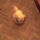 Imag0155_1566179_6241_t