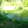 Jeli_arboretumban_keszult_fotok_majusban_11_1567639_9279_t