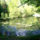 Jeli_arboretumban_keszult_fotok_majusban_9_1567637_1645_t