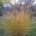 20121115_151519_1571233_5857_t