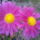 20121115_151738_1571208_9055_t