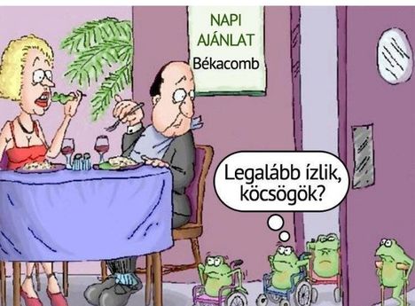 Békacomb !