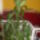 Emeleten_a_korlatnal_jukka_es_kerem_a_masik_nevet_valakitol_1571398_7021_t