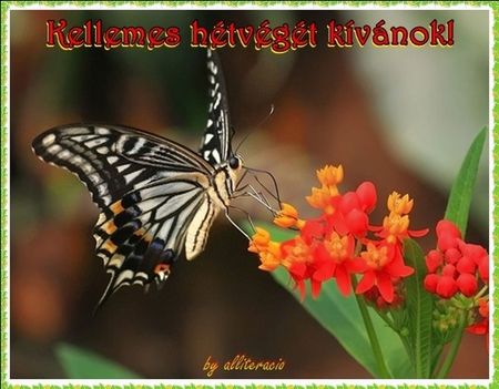 LEGYEN SZÉP A HÉTVÉGE.