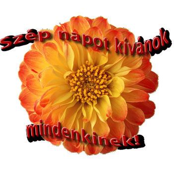 MÍNDENKINEK KÜLDÖM.