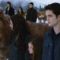 the-twilight-saga-breaking-dawn-part-2-wolf