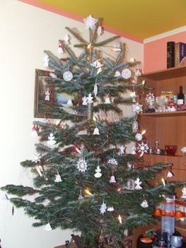 karácsonyfánk 2010-ben