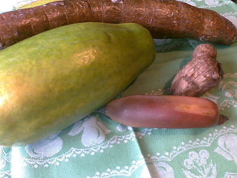 Kasszáva, tárógumó, piros banán, papaya