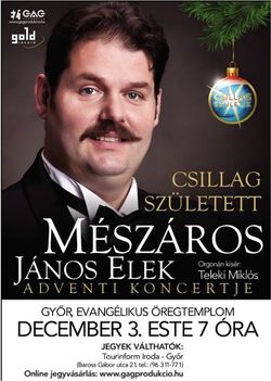Mészáros János Elek Győrben