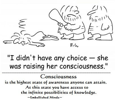 Consciousness 