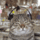 Tumblr_mc5n3kmive1rjrcwuo1_400_1577065_4221_t