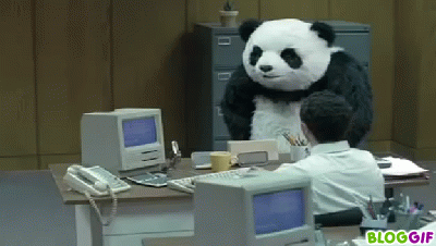 Panda-akcióban_gif_738