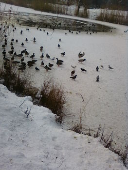 A Feneketlen-tó télen 3