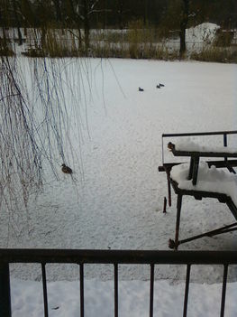A Feneketlen-tó télen 4