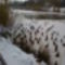 A Feneketlen-tó télen 6