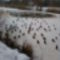 A Feneketlen-tó télen 7
