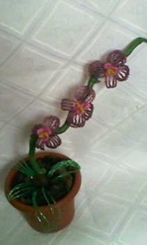 padlizsánlila orchideám