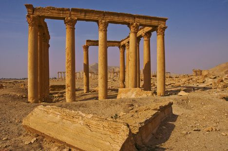 Palmyra 11