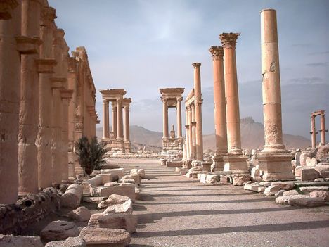 Palmyra 5
