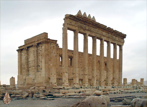 Palmyra 6