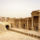 Palmyra_7_1057312_7327_t