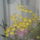 P1110748_1581654_5650_t