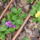 P1110751_1581663_8238_t