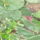 P1110752_1581662_8687_t