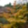 P1110753_1581652_8173_t