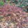 P1110754_1581651_8595_t