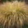 P1110756_1581656_9437_t