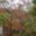 P1110762_1581655_9400_t