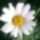 2012_dec_1en_meg_ilyenek_voltak_3_1585099_9607_t