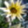 2012_dec_1en_meg_ilyenek_voltak_5_1585102_5481_t