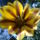 2012_dec_1en_meg_ilyenek_voltak_7_1585105_1325_t