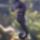 403-002_1585398_7874_t