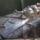 I_pszuszennesz_1585186_1992_t