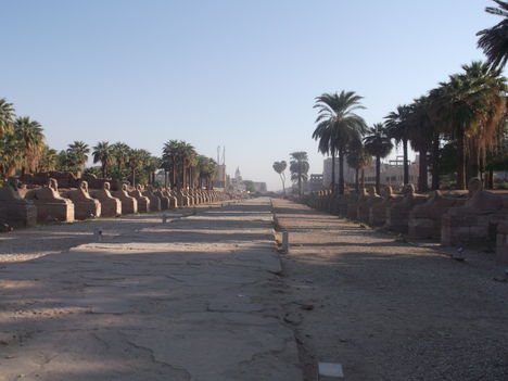 Luxori szfinx-sor