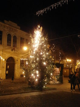 Szekszárdi karácsonyfa, 2012.
