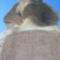 Szfinx-sztélé