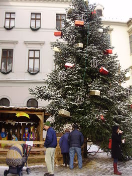 Sopron 2012.december 