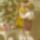 Boldog_unnepeket__27_1588375_3078_t
