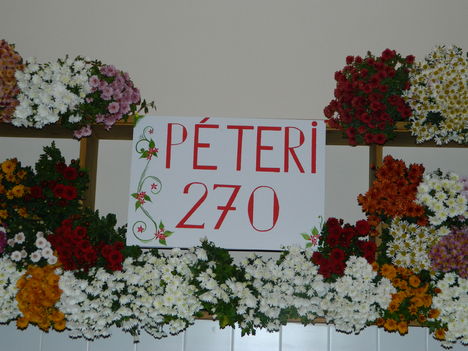 Péteri 21
