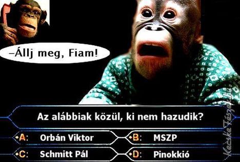 12884_393931207350829_1816628370_n_1588491_3076_n
