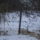 Es_a_gerle_is_madar_1589331_1365_t