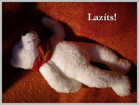 Lazits