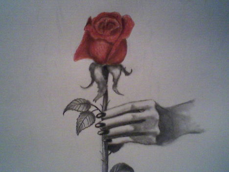 my hand, my rose...